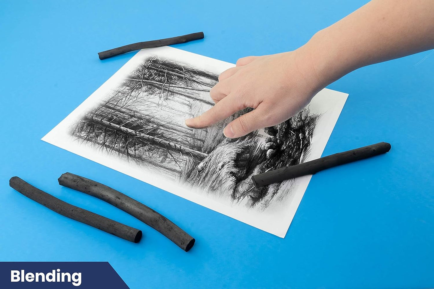 Pacific Arc Large Vine Charcoal Stick 5/Pkg, Soft, Black, Thick Willow Charcoal for Sketching and Drawing